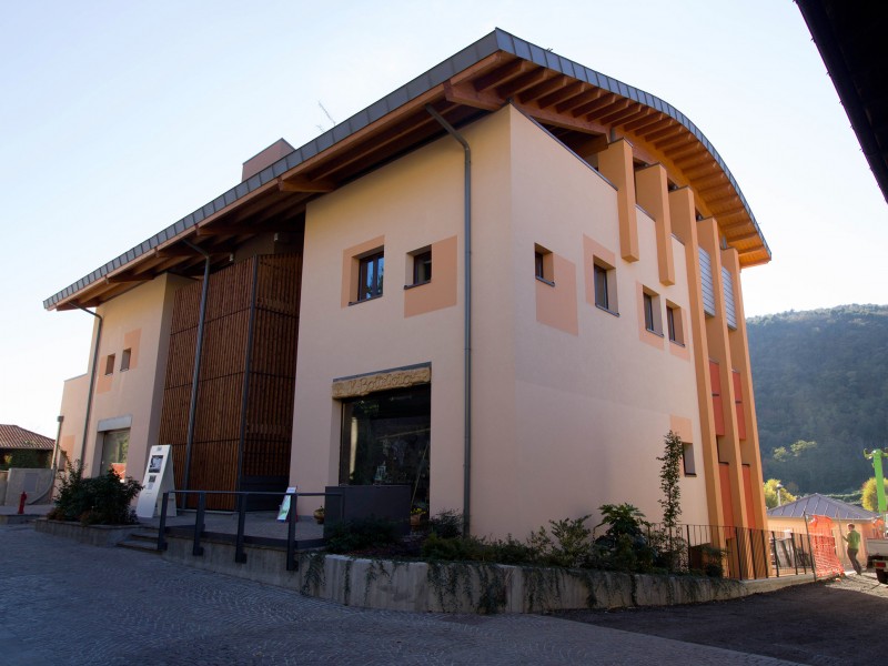 Progettista e D.L. - Ing. Paolo Consonni, Arch. Giorgio Mantica